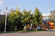 向應公園1