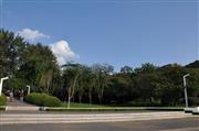 向應公園